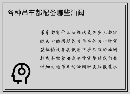 各种吊车都配备哪些油阀
