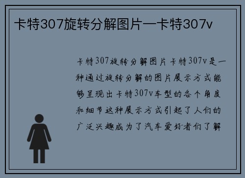 卡特307旋转分解图片—卡特307v