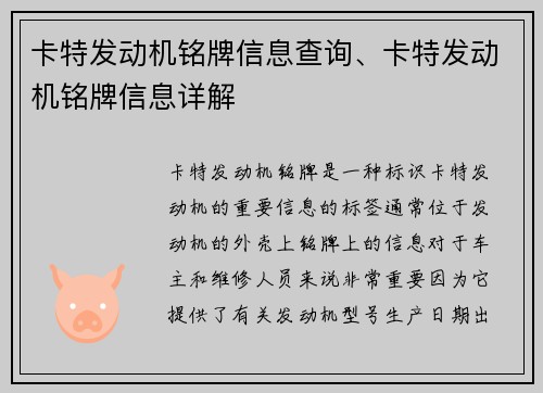 卡特发动机铭牌信息查询、卡特发动机铭牌信息详解