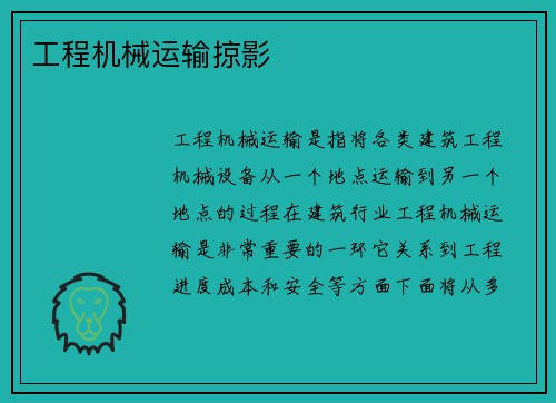 工程机械运输掠影